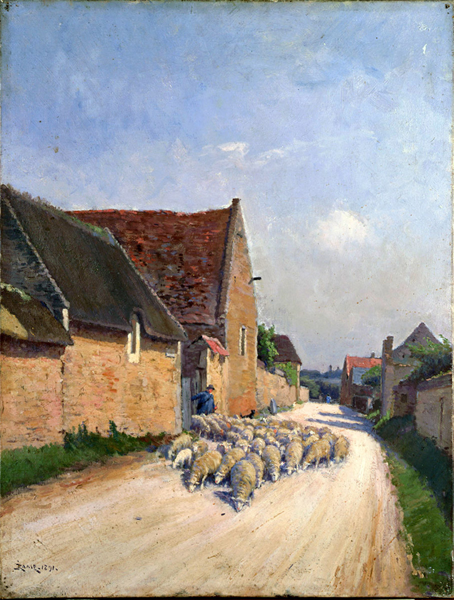 Sortie de troupeau à Canon